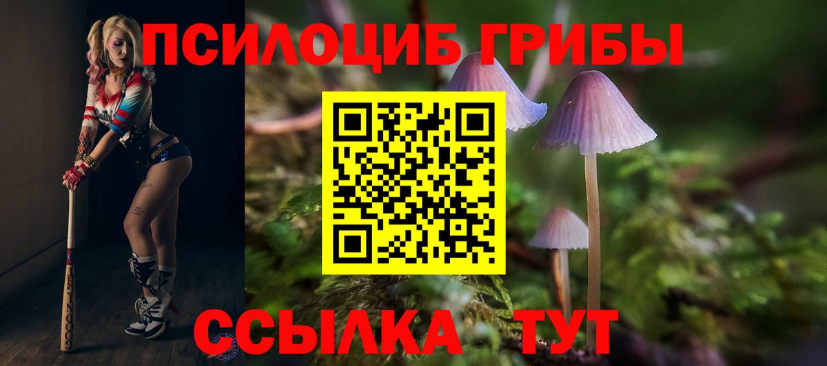 Галлюциногенные грибы Cubensis  Псилоцибиновые грибы мухоморы  дарнет шоп  Вход с VPN  Октябрьский 